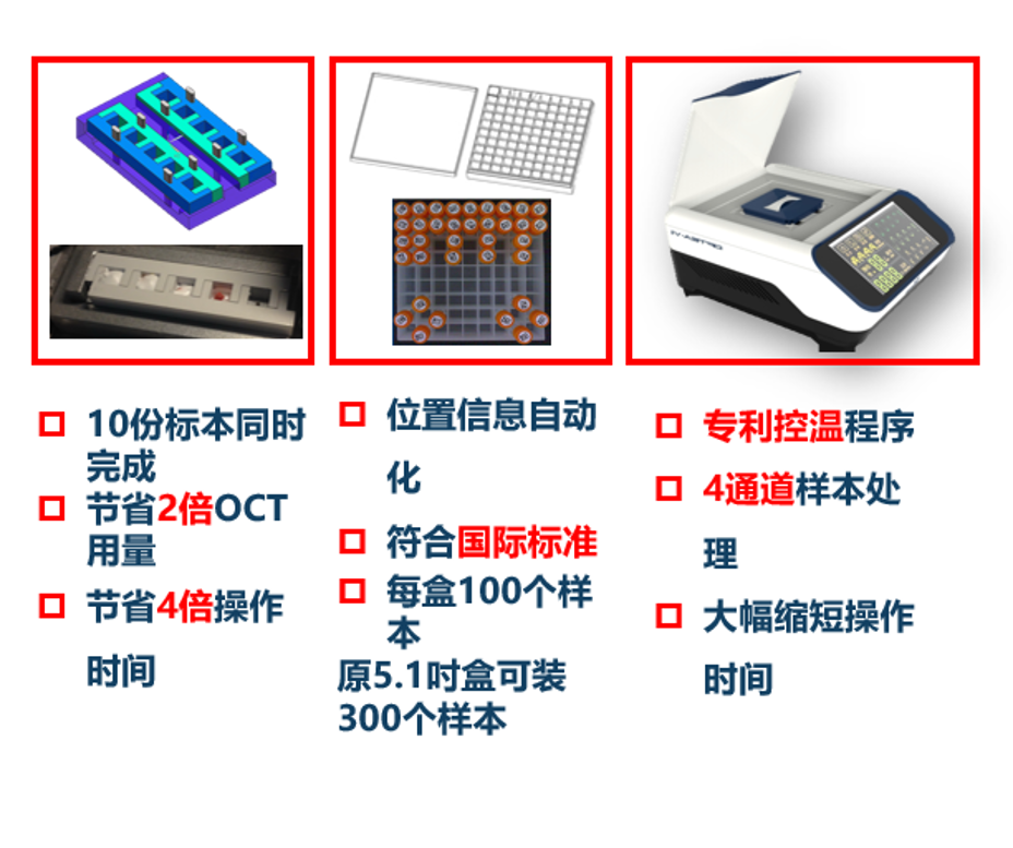 组织2.png