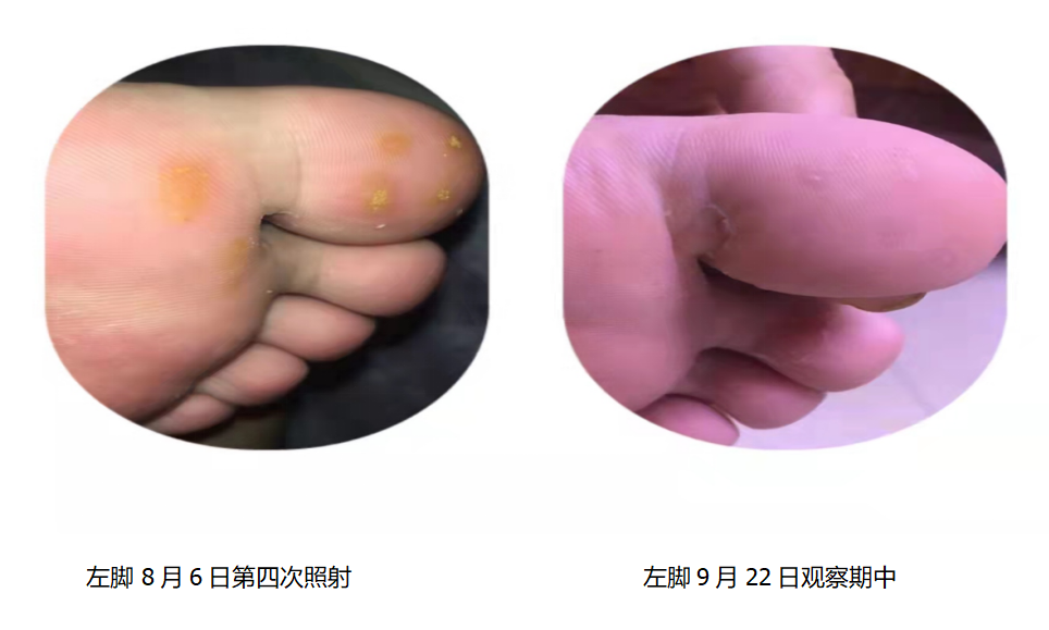 微信图片_20220606092650.png